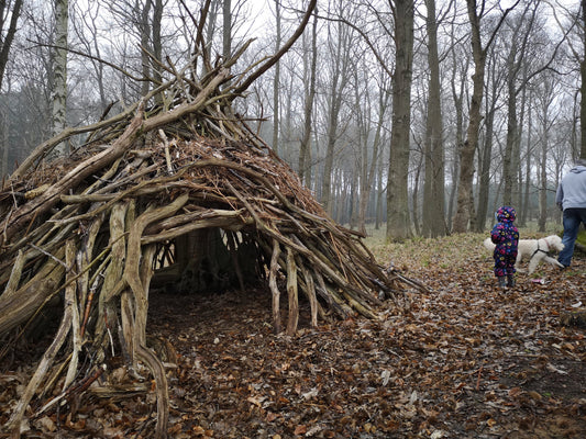 Den Building: Why Every Family Should Try It