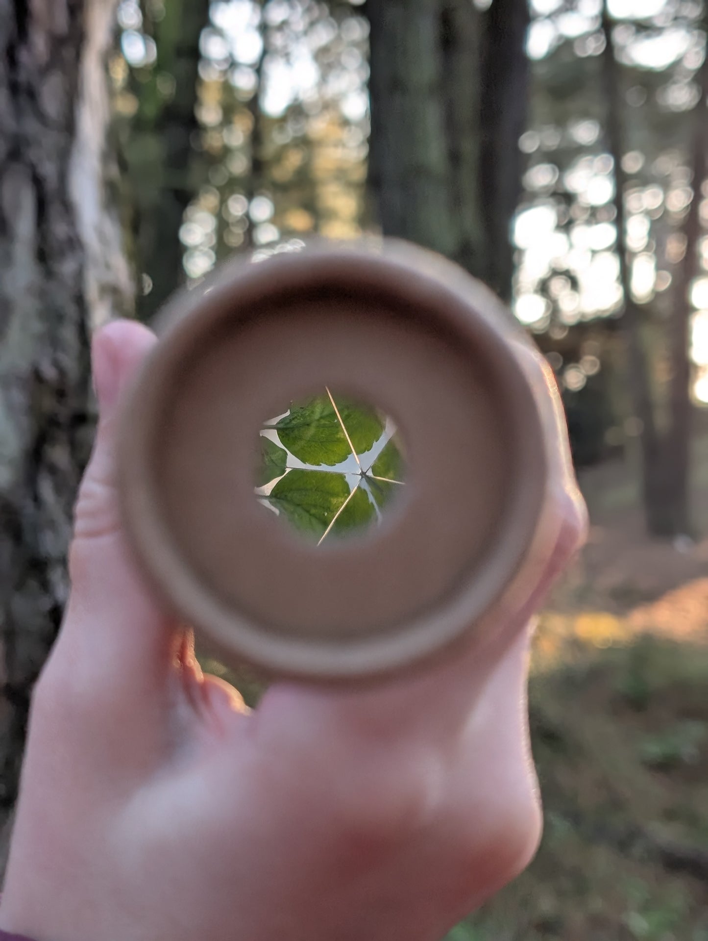 Huckleberry Eco Kaleidoscope