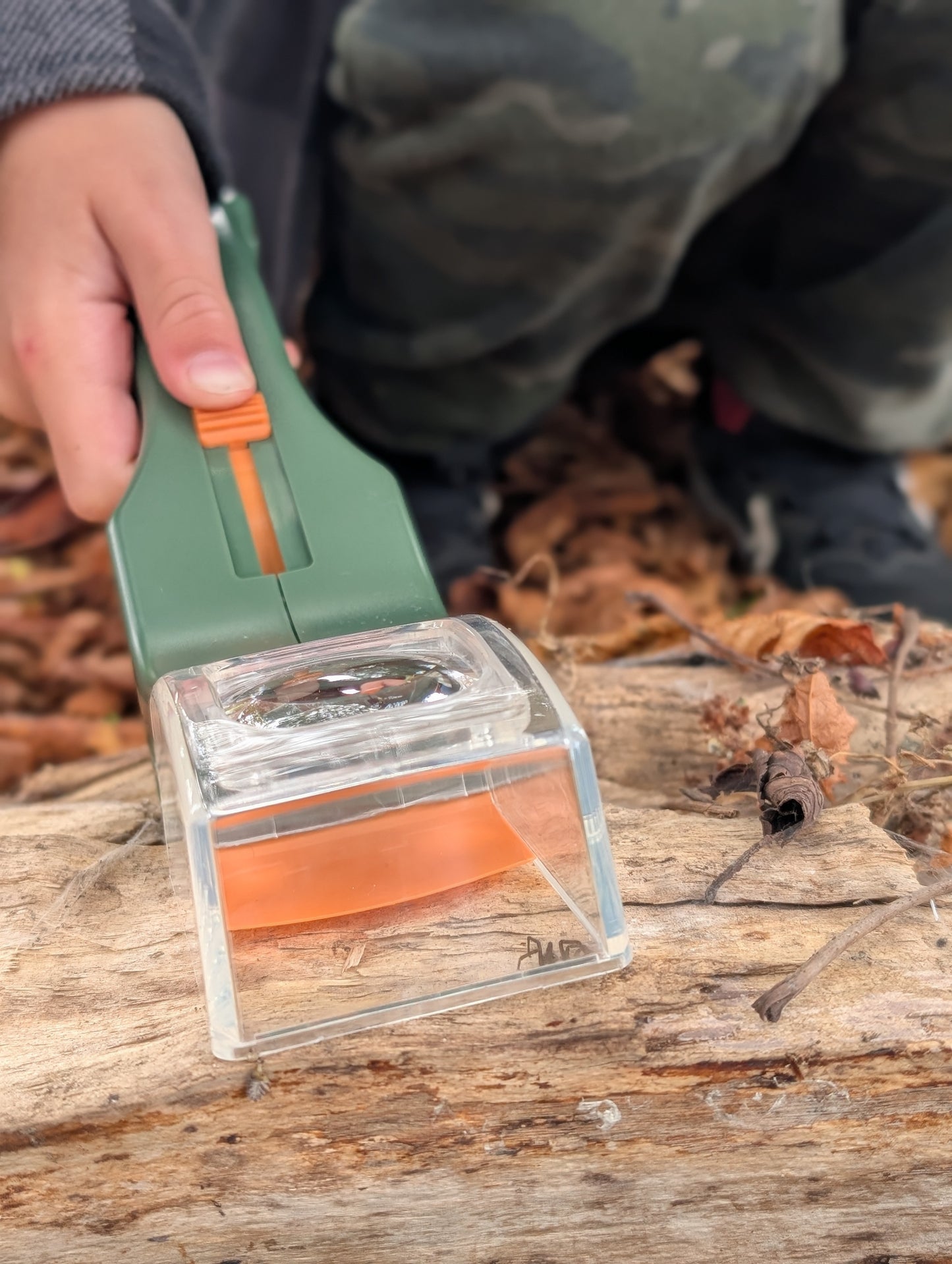 Carson BugView – Easy Catch & Release Bug Viewer with 5× Magnifying Lens