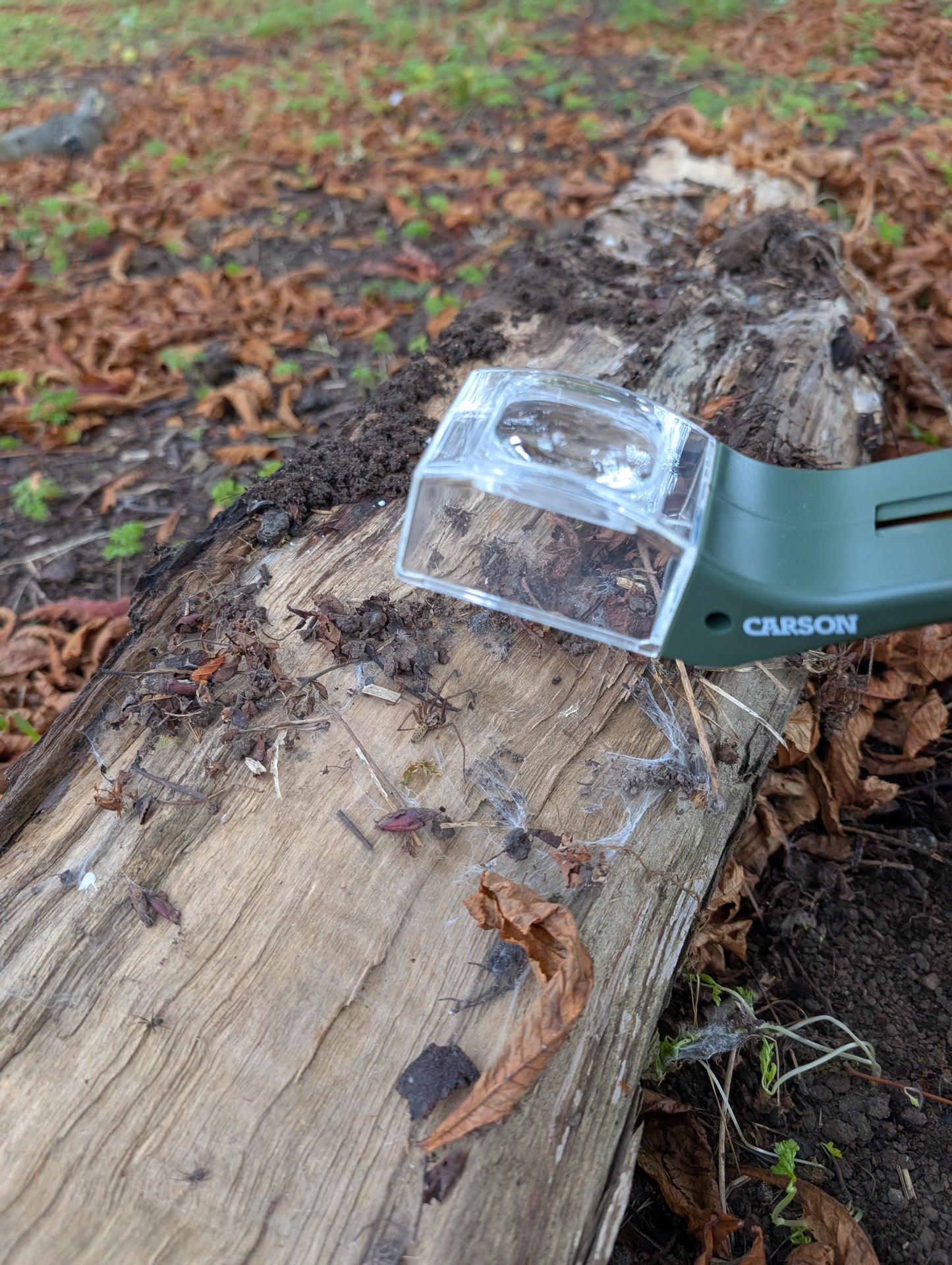 Carson BugView – Easy Catch & Release Bug Viewer with 5× Magnifying Lens