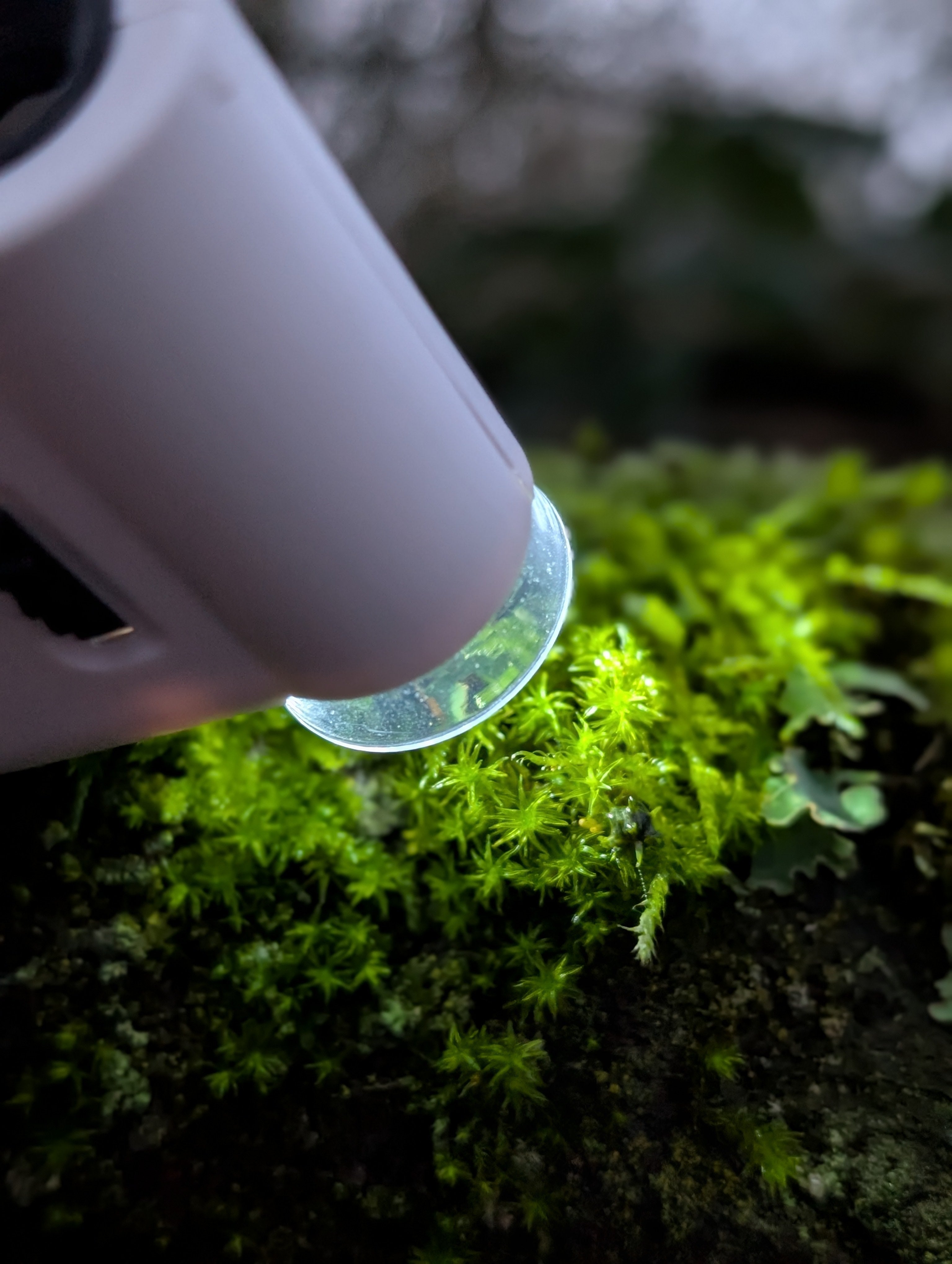 World’s Smallest Microscope Review & Test – CAMPKIN & MOO