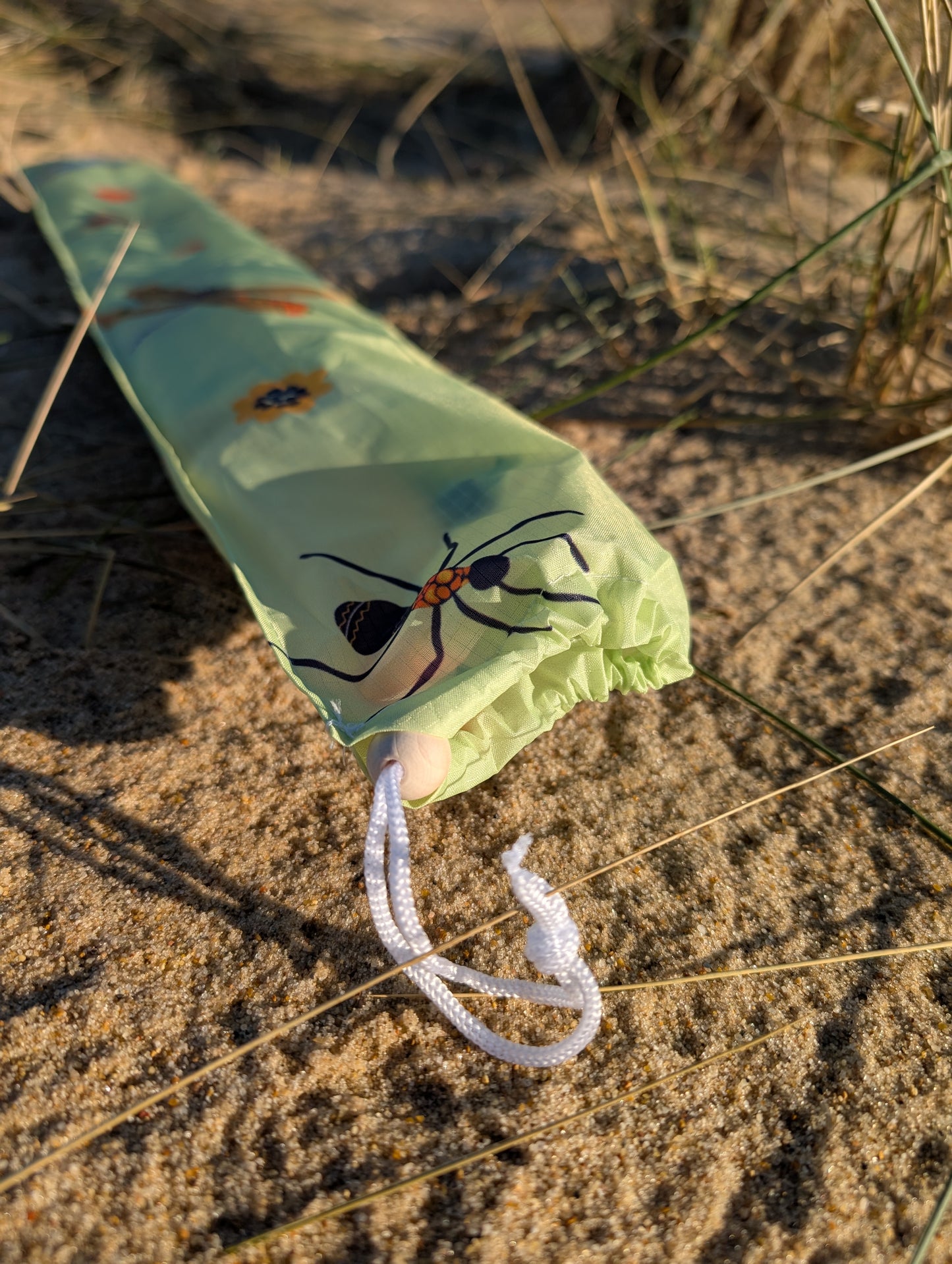 Children’s Sustainable Kite