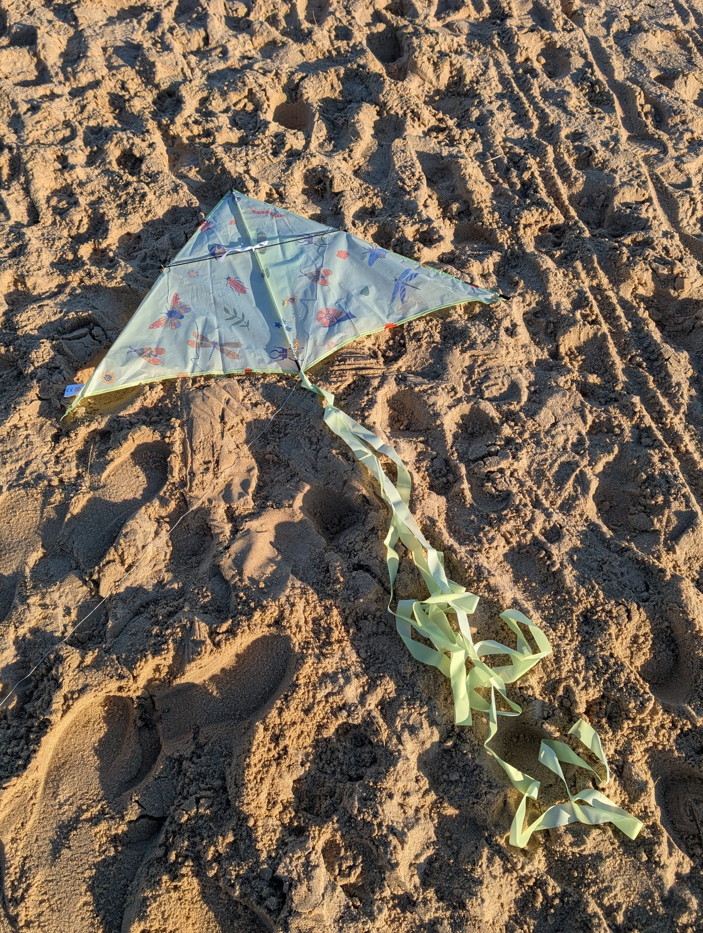 Children’s Sustainable Kite