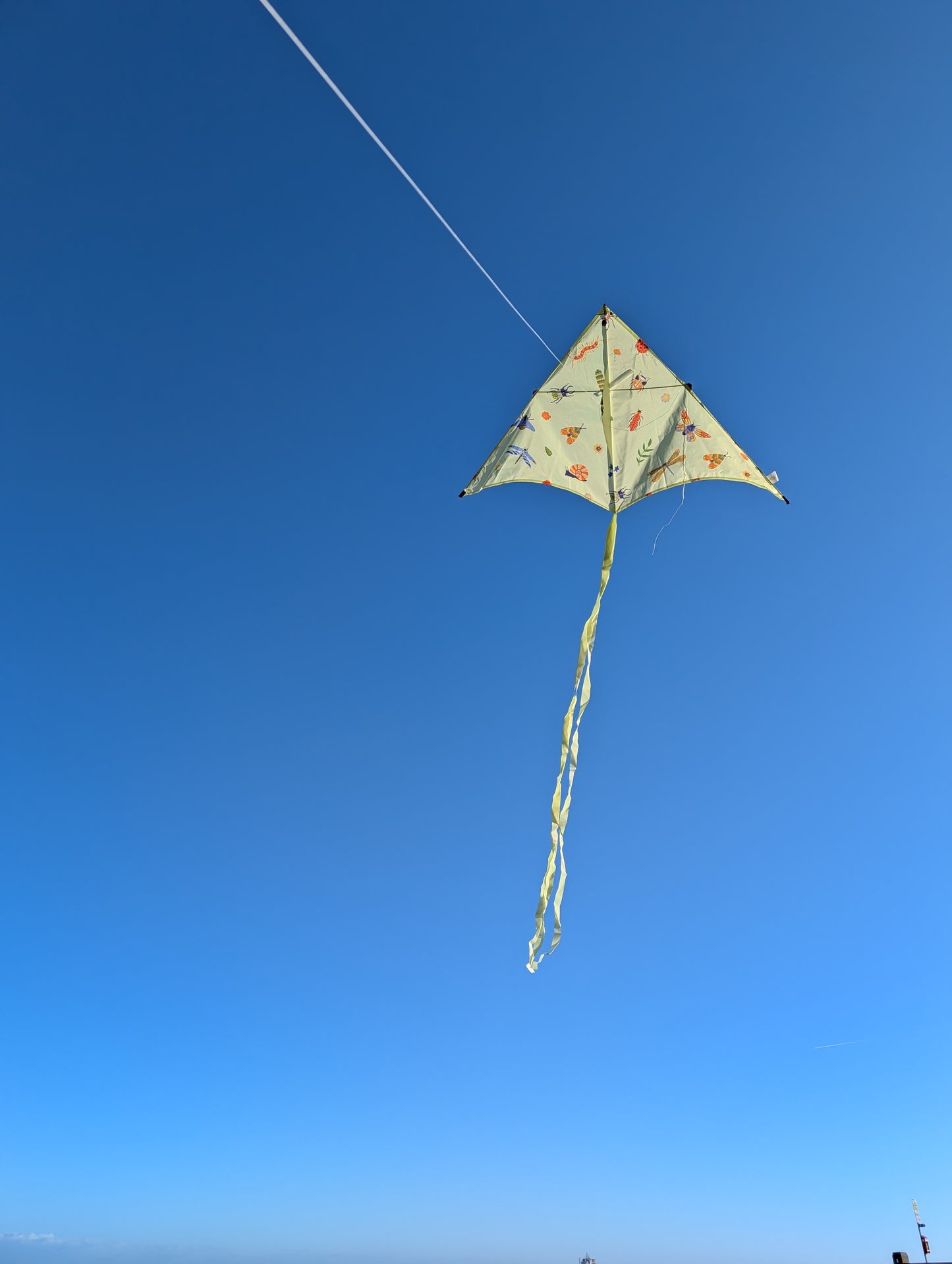 Children’s Sustainable Kite