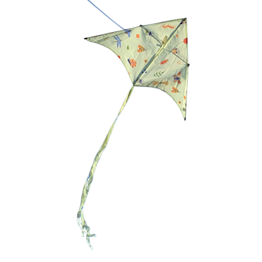 Children’s Sustainable Kite